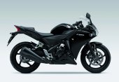 2013 Honda CBR 250R                photo
